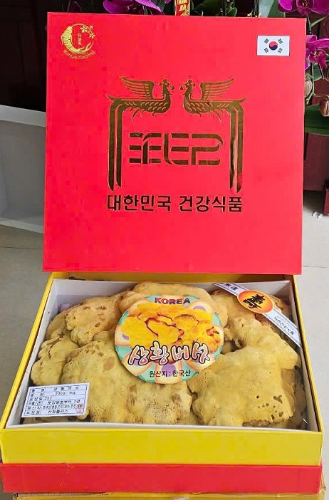 Nấm Thượng Hoàng Kana- Hàn Quốc: Dược liệu quý từ thiên nhiên