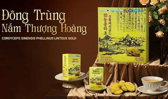 Nước Uống Đông Trùng Hạ Thảo Nấm Thượng Hoàng - Cordyceps Sinensis Phellinus Linteus Gold