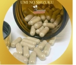 TPCN Fucoidan Umi No Shizuku vàng Okinawa hỗ trợ phòng - điều trị ung thư (120 viên)
