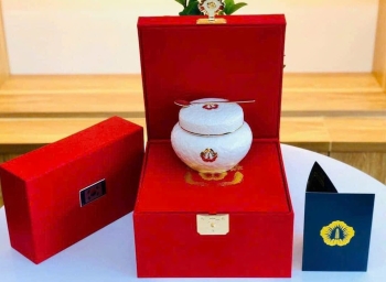 Cao thiên Sâm Nhà Xanh Phủ Tổng Thống