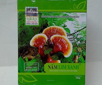 NẤM LIM XANH THANH-THIẾT-BẢO-SINH CỔ TRUYỀN