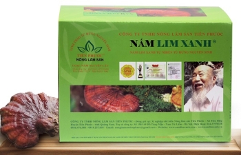 NẤM LIM XANH TỰ NHIÊN LOẠI NGUYÊN CÂY hộp 500 gr - SẢN PHẨM 100% TỪ RỪNG TỰ NHIÊN