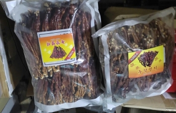 NẤM LINH CHI SỪNG HƯƠU non HÀN QUỐC