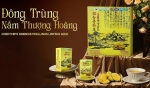 Nước Uống Đông Trùng Hạ Thảo Nấm Thượng Hoàng - Cordyceps Sinensis Phellinus Linteus Gold