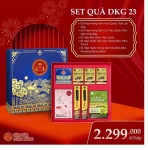 Set Quà Tặng Hồng Sâm Hàn Quốc Cao Cấp - DKG 23- Lộc Thịnh Gia Khang