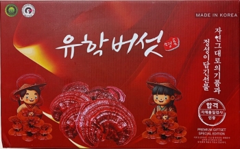 Nấm linh chi đỏ hộp giấy UHakmushroom Hàn Quốc