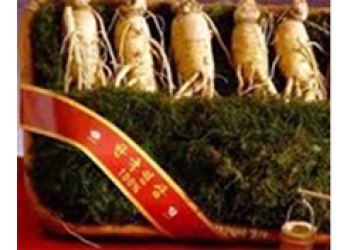 NHÂN SÂM - SÂM TƯƠI 5 CỦ 1KG