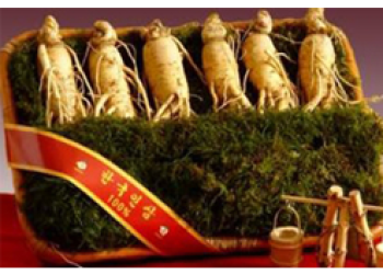 SÂM TƯƠI 6 CỦ 1KG