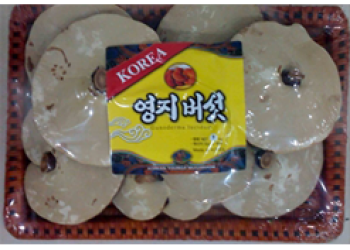 NẤM LINH CHI NÂU ĐỎ KHAY