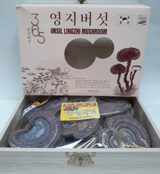 Nấm linh chi hộp gỗ 365- IMSIL LINHZHI MUSHROOM