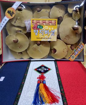 Nấm linh chi Hàn hộp gấm Buk Ung