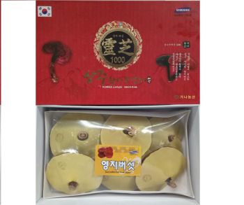 Nấm linh chi hộp KANANONGSAN