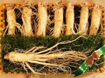 NHÂN SÂM - SÂM TƯƠI 7 củ 1kg